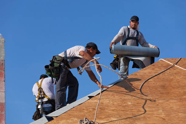 Best Roof Leak Repair  in Arlington, VA