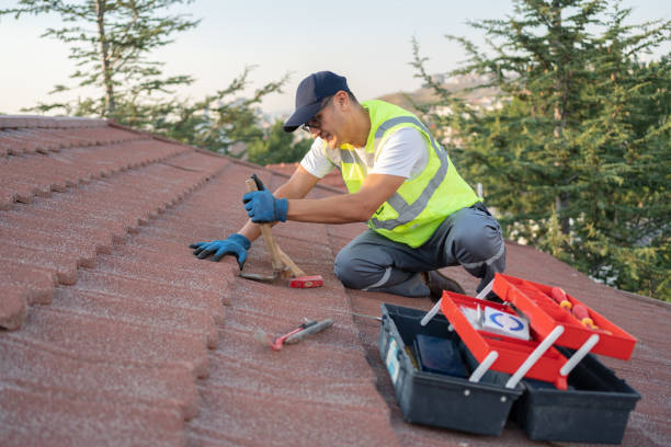 Best Affordable Roof Replacement  in Arlington, VA
