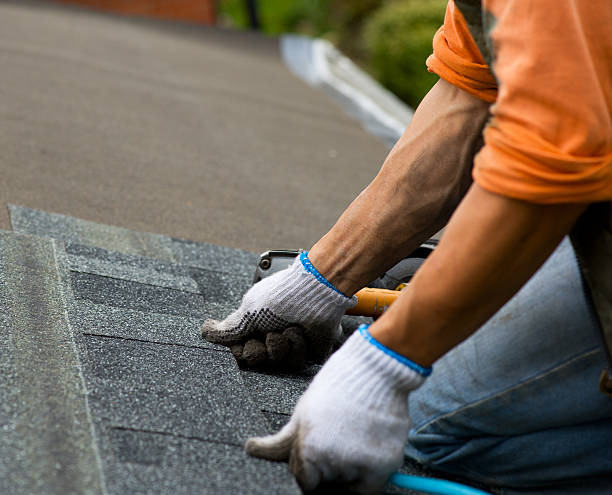 Roof Waterproofing Services in Arlington, VA