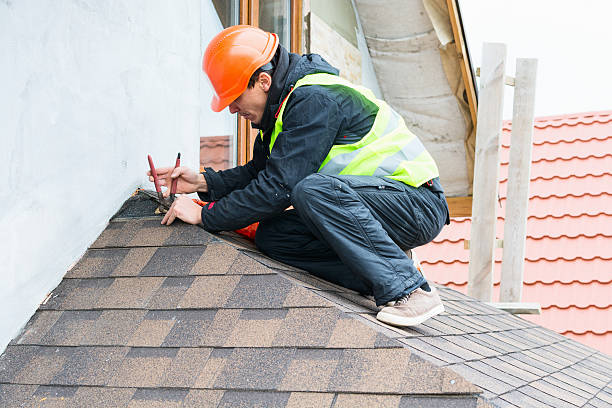 Best Roof Gutter Cleaning  in Arlington, VA